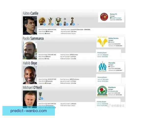 NBA副总裁透露欧洲联赛吸引众多投资者争夺永久球队席位